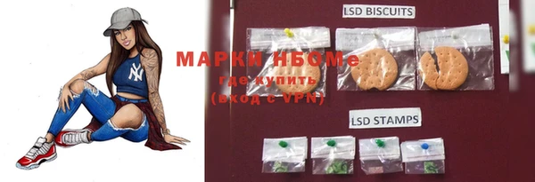 ешки Алзамай