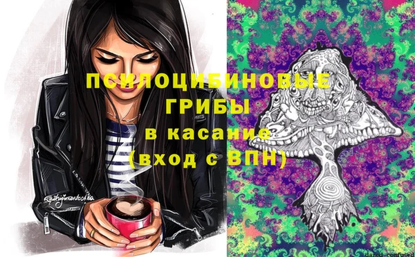 дурь Алексеевка