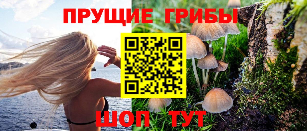 Псилоцибиновые грибы прущие грибы  Псилоцибиновые грибы Psilocybe  что такое наркотик  Вход с VPN  Сарапул 