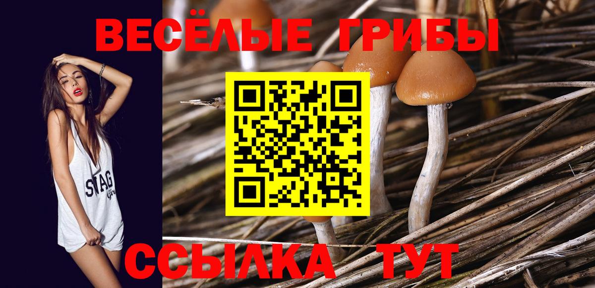 Галлюциногенные грибы GOLDEN TEACHER Сарапул